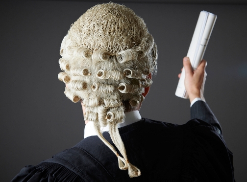 Lawyer
                                    making speech in court by SpeedKingz
                                    (Shutterstock:
https://www.shutterstock.com/image-photo/lawyer-making-speech-court-344328857)