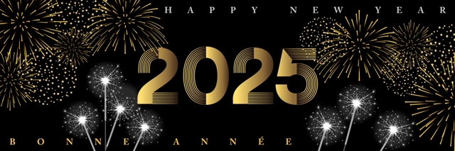 2025 - Banner to celebrate the New
                                Year in a nighttime party atmosphere
                                with fireworks and sparklers - French
                                and English text. Artist: ID-EasyDoor
                                (Source:
https://www.shutterstock.com/image-vector/2025-banner-celebrate-new-year-nighttime-2496081079)